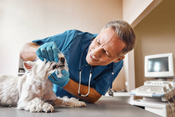 Best Emergency Dentist for Special Needs Patients in San Pablo, NM